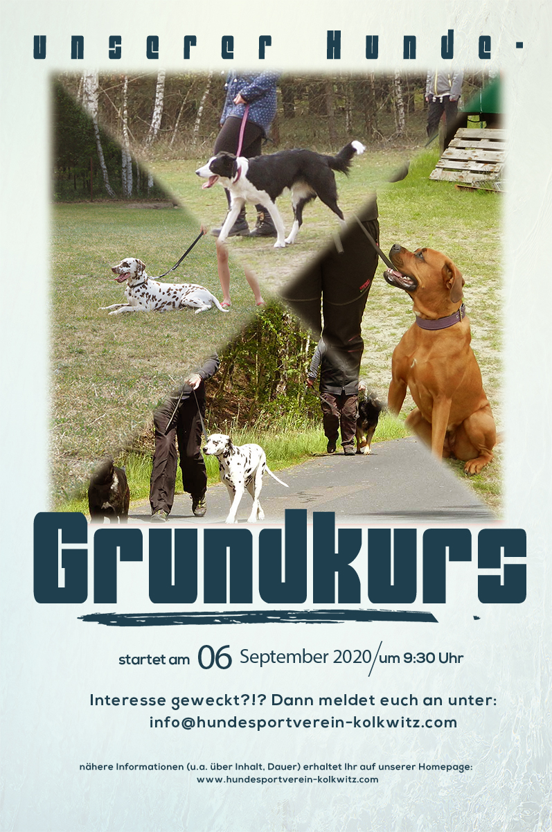hundesportverein kolkwitz grundkurs