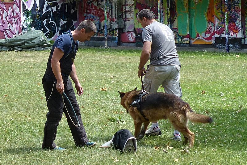 Hundesportverein Kolkwitz Vorführung des Hundesportverein für